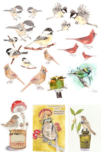 Roycycled Catalog Of Birds By Lexi Grenzer